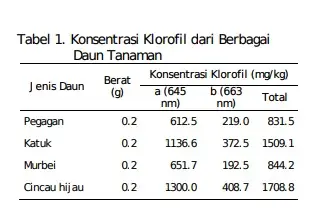 Cup Cincau Hijau Murni siap saji